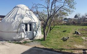 Yurt Stay In Downtown